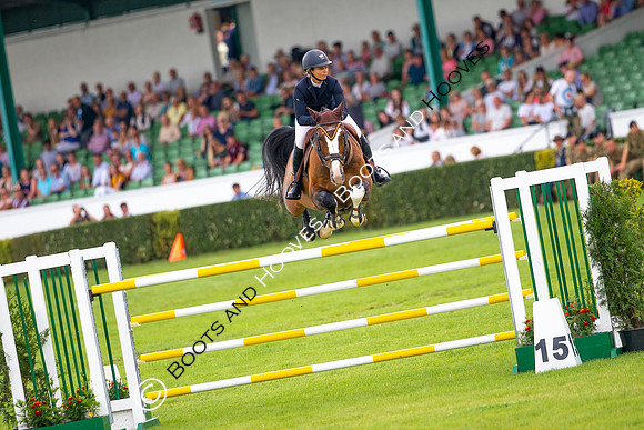 Great Yorkshire Show