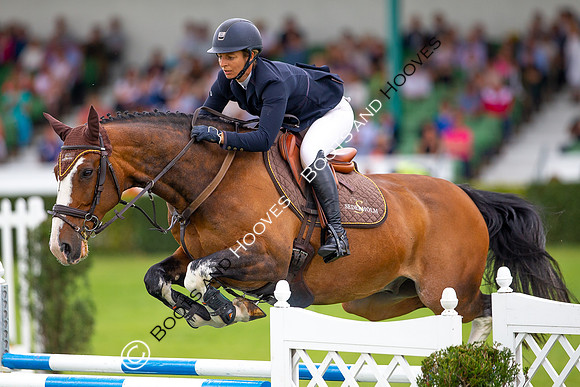 Great Yorkshire Show