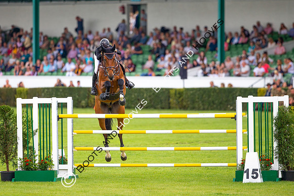 Great Yorkshire Show