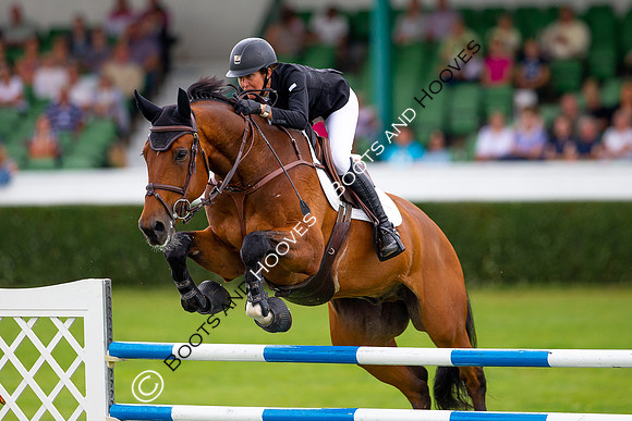 Great Yorkshire Show