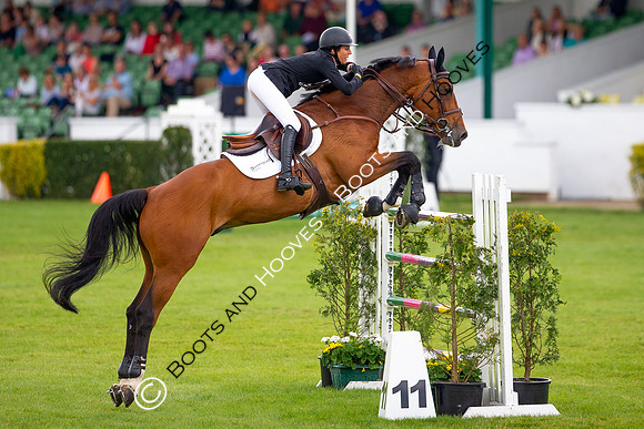 Great Yorkshire Show