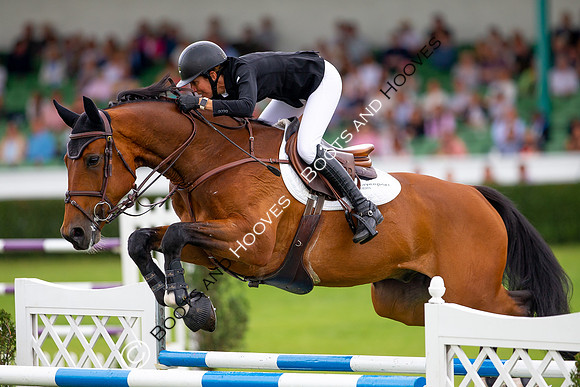 Great Yorkshire Show