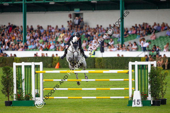Great Yorkshire Show