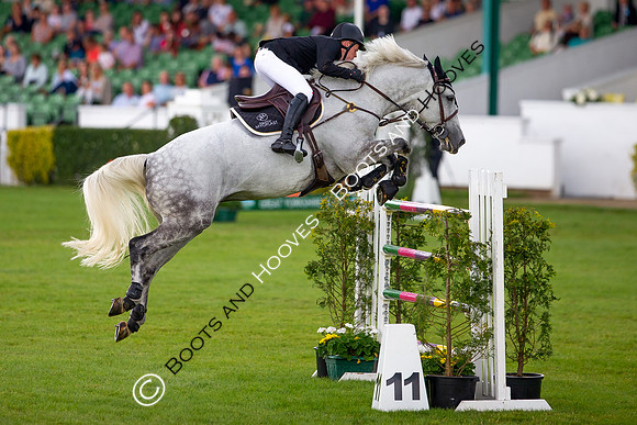 Great Yorkshire Show