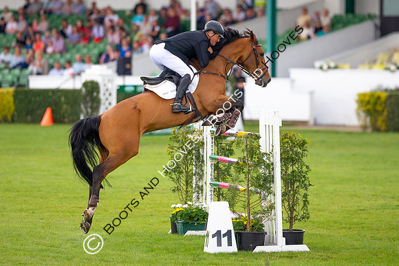 Great Yorkshire Show
