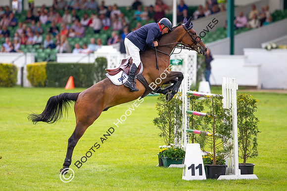 Great Yorkshire Show