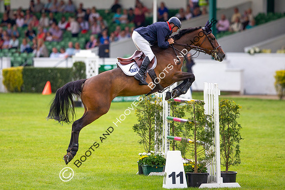 Great Yorkshire Show