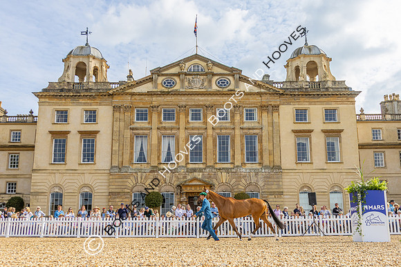 Badminton Horse Trials