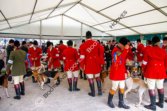 Great Yorkshire Show