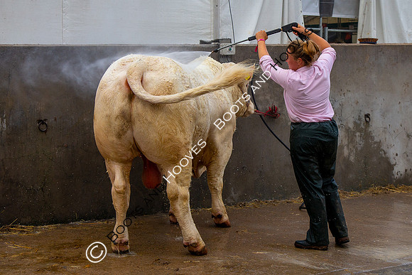Great Yorkshire Show