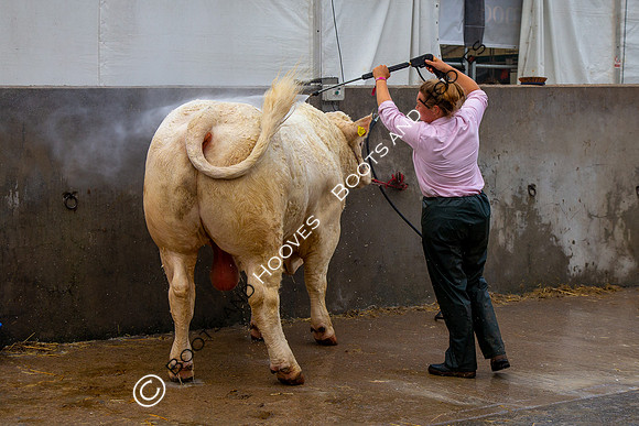 Great Yorkshire Show