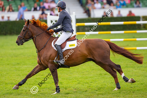 Great Yorkshire Show