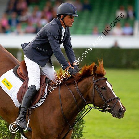 Great Yorkshire Show
