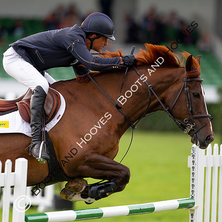 Great Yorkshire Show
