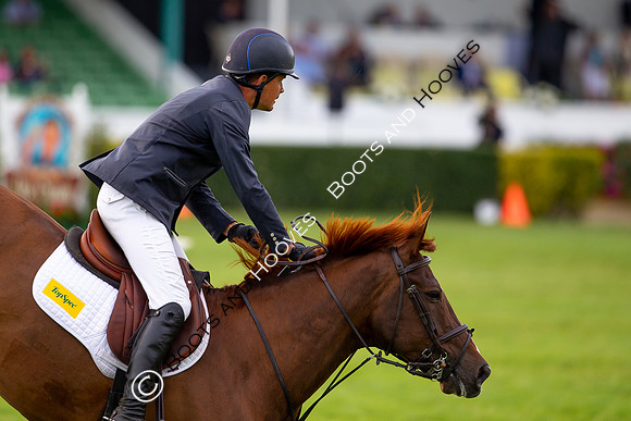 Great Yorkshire Show