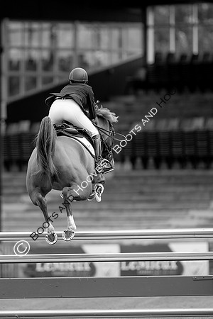 Science Supplements All England Jumping Championships