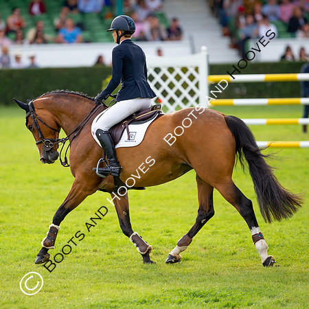 Great Yorkshire Show