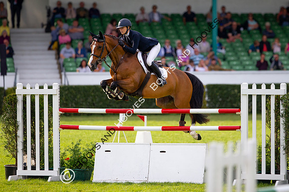 Great Yorkshire Show