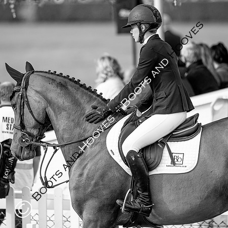 Great Yorkshire Show