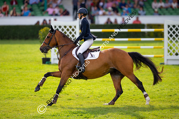 Great Yorkshire Show