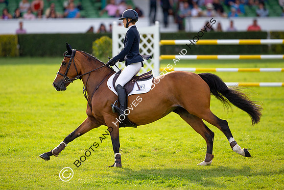 Great Yorkshire Show