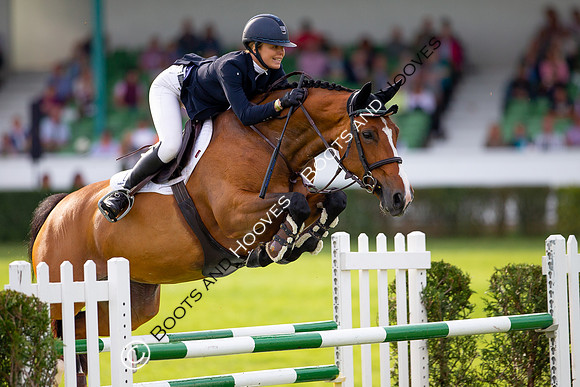 Great Yorkshire Show