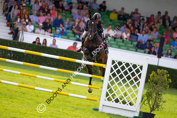 Great Yorkshire Show