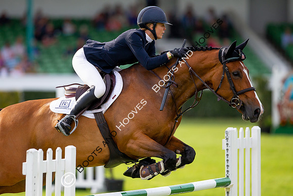 Great Yorkshire Show