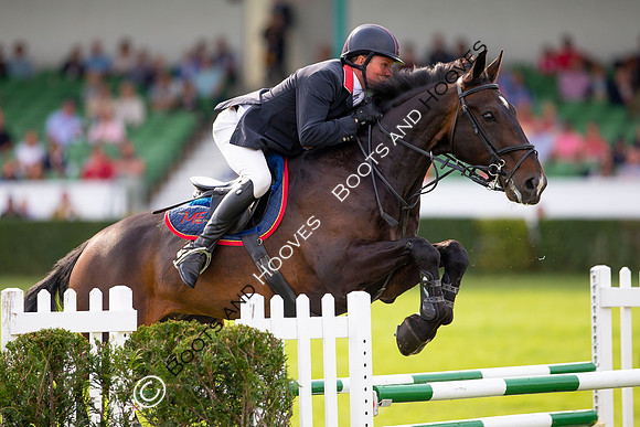 Great Yorkshire Show