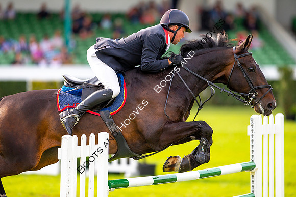 Great Yorkshire Show