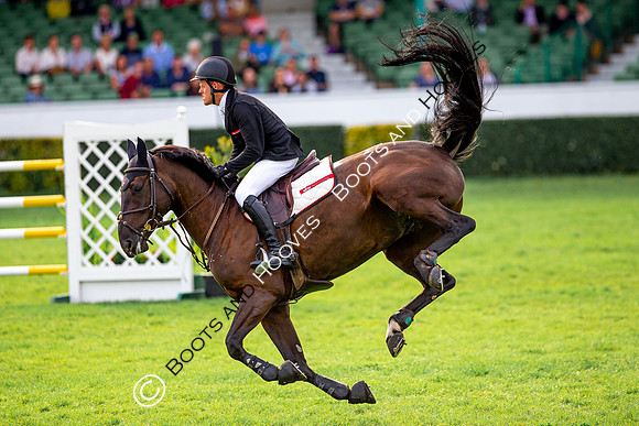 Great Yorkshire Show