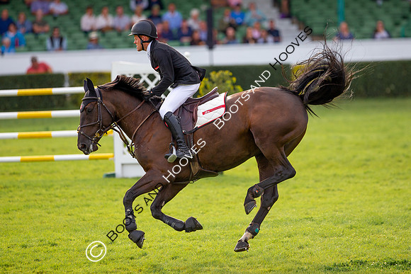 Great Yorkshire Show