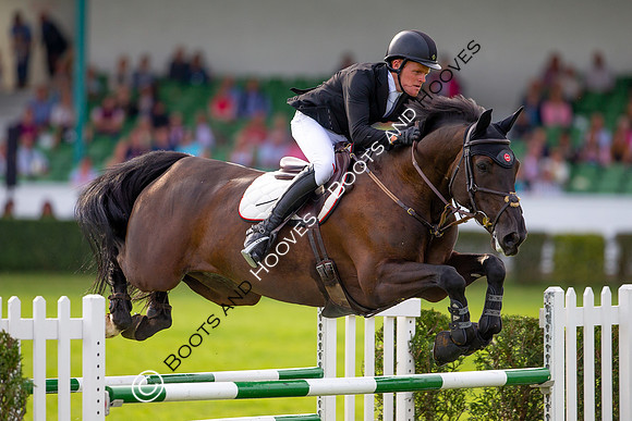 Great Yorkshire Show