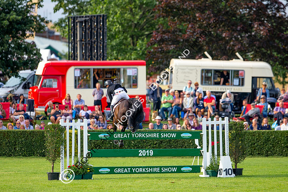 Great Yorkshire Show