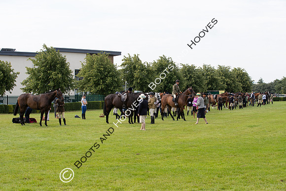 Great Yorkshire Show