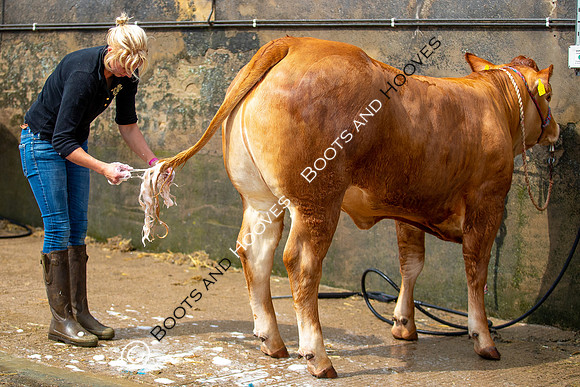 Great Yorkshire Show