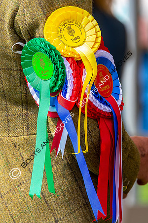 Great Yorkshire Show