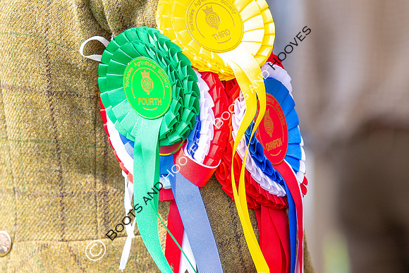 Great Yorkshire Show