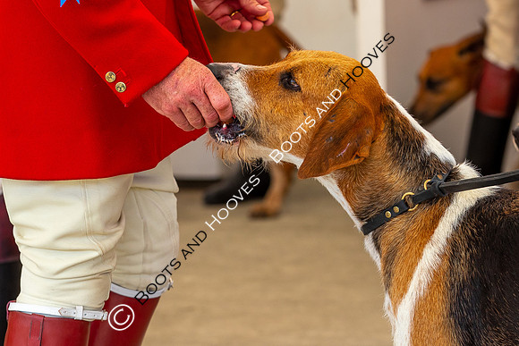 Great Yorkshire Show