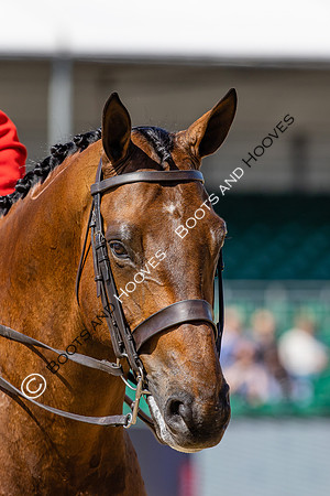 Royal Windsor Horse Show