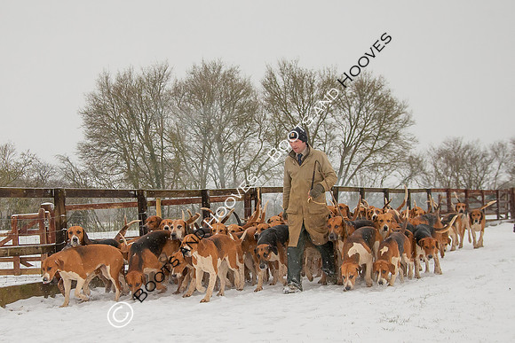 Hound Exercise