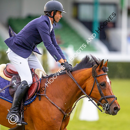 Great Yorkshire Show