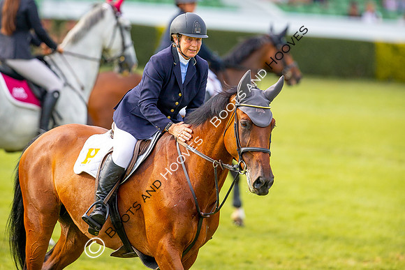 Great Yorkshire Show