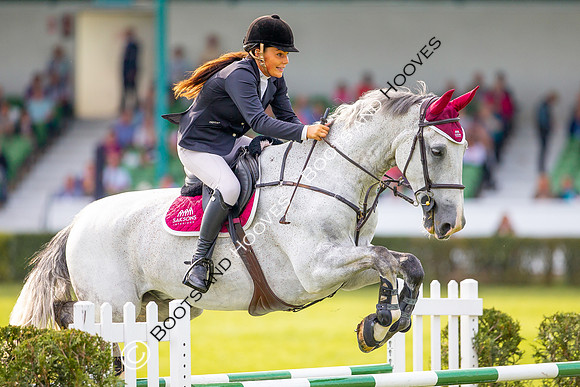 Great Yorkshire Show