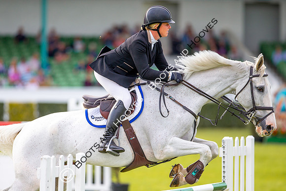 Great Yorkshire Show