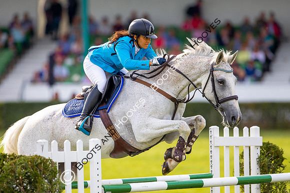 Great Yorkshire Show