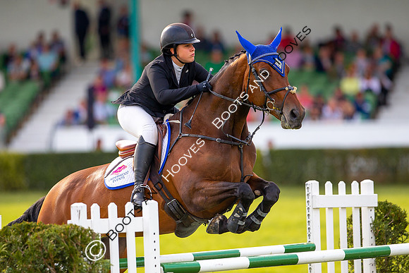 Great Yorkshire Show