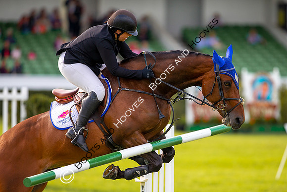 Great Yorkshire Show