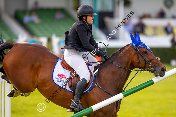 Great Yorkshire Show