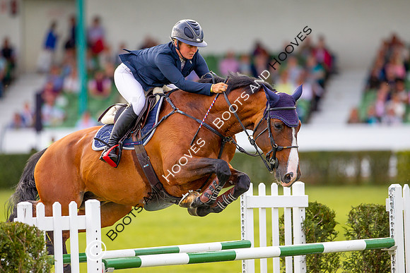 Great Yorkshire Show